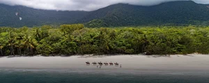2026 TTT - Cape Tribulation