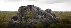 Website Header_Chillagoe
