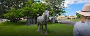Website Header_Collinsville