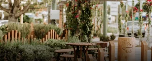 Website Header_Miles