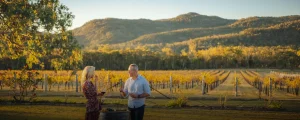 Website Header_Stanthorpe