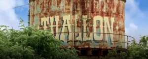Website Header_Thallon